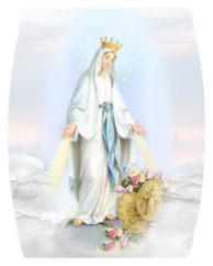 DAREC 113 Lady of the Miraculous Medal B